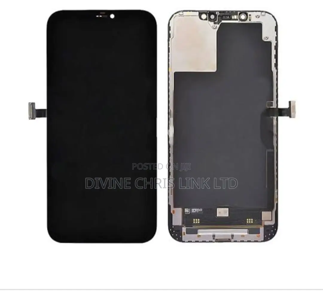 iPhone 12 Pro Max Screen