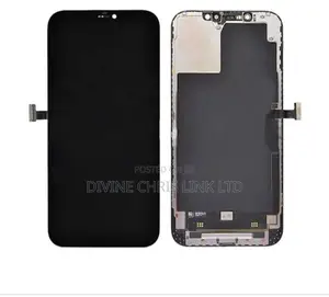 iPhone 12 Pro Max Screen