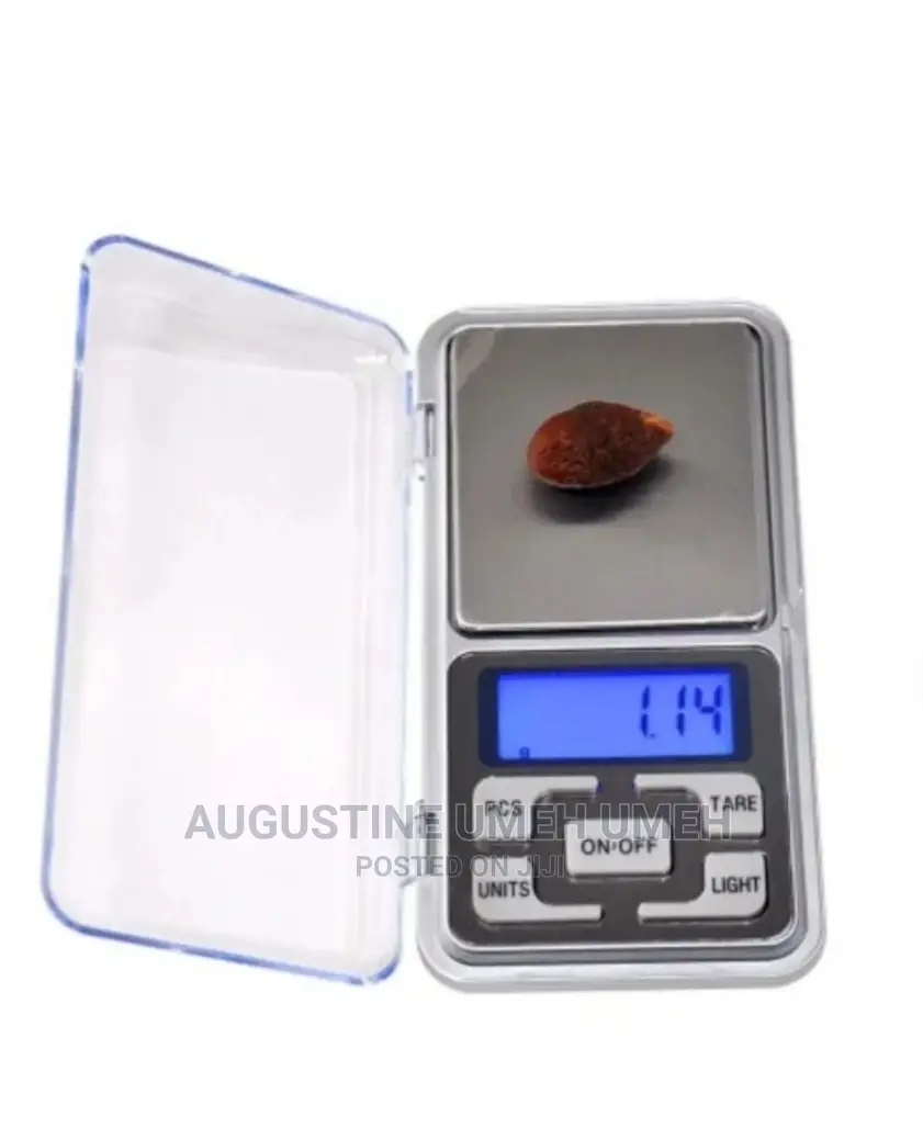 Electrical Portable Scale