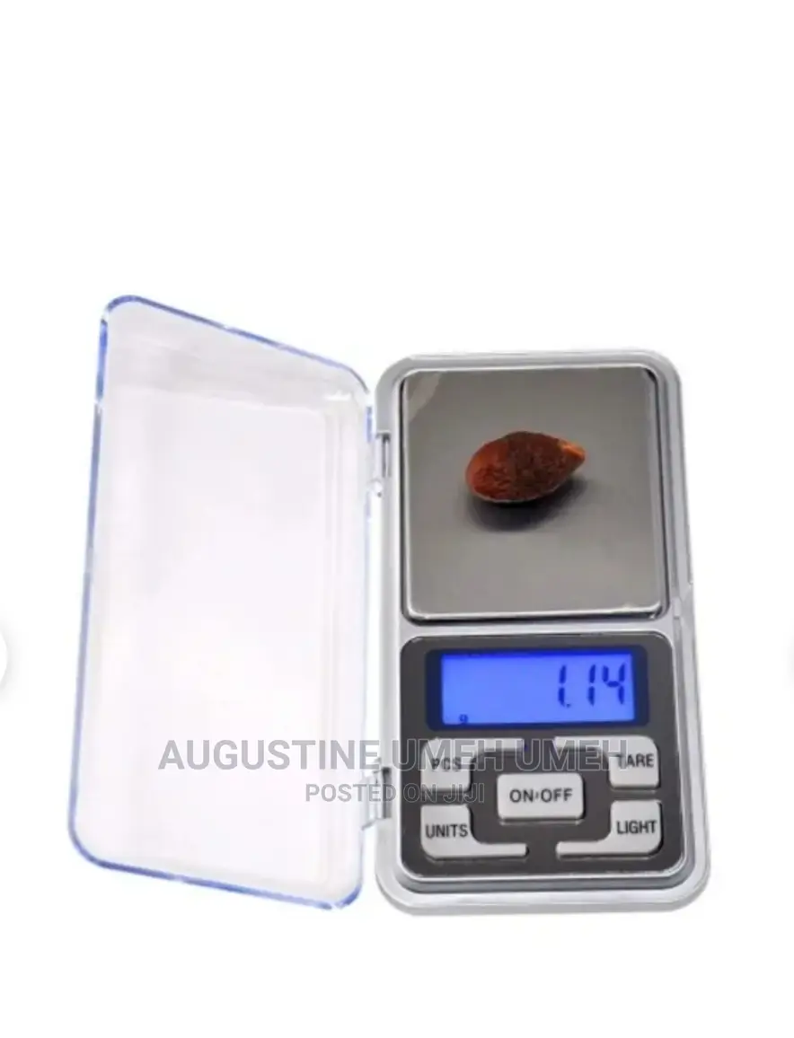Electrical Portable Scale