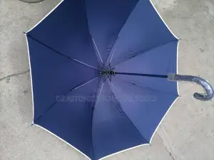 Big Blue Umbrella