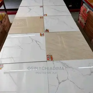 Quality 60x60 Floor
