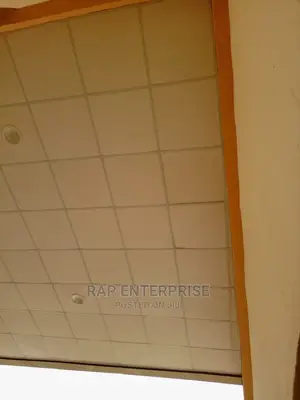 Guysum Ceiling Supply and Installation