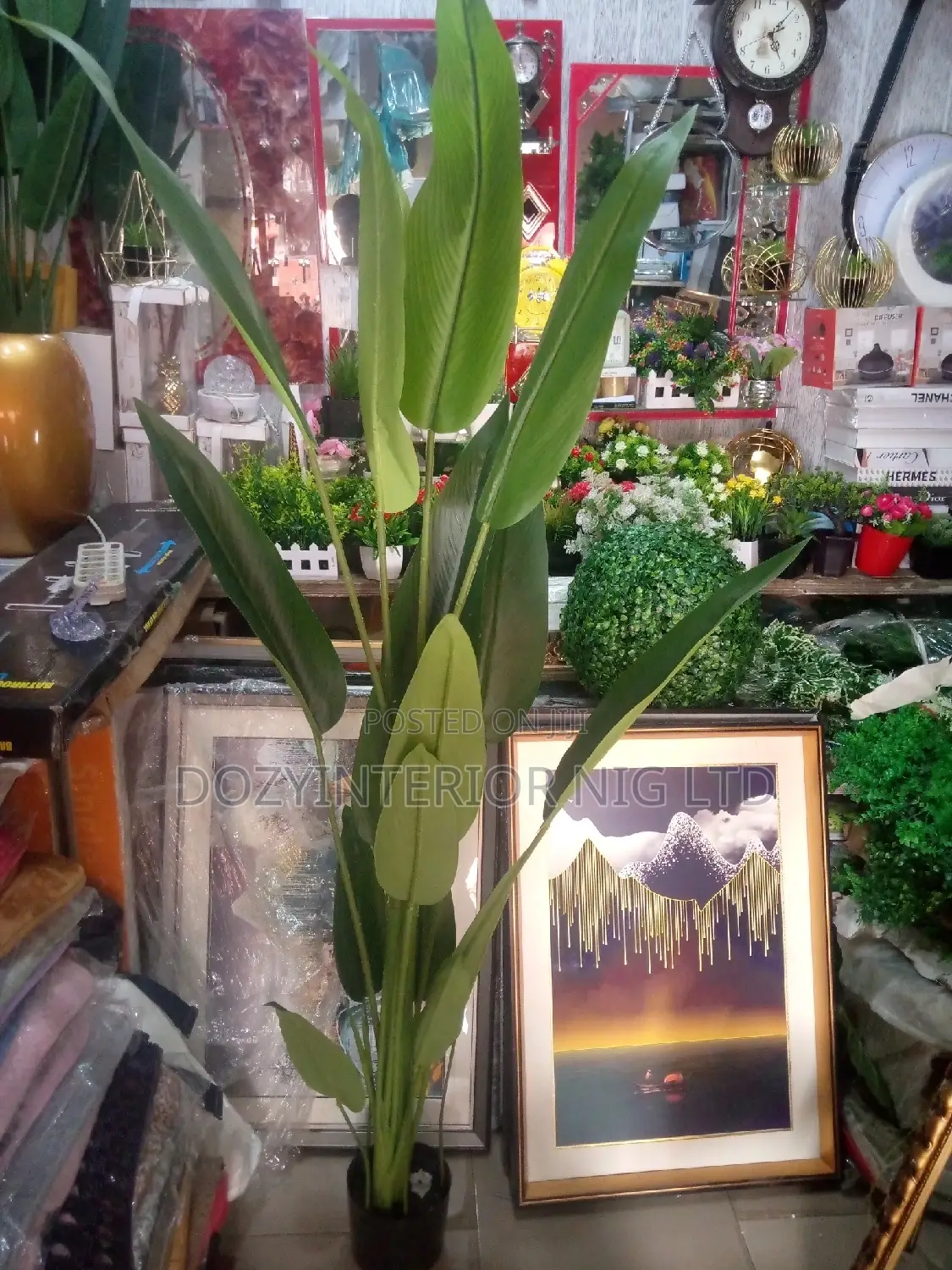 Amazing Flowers