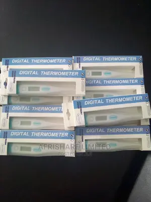 Digital Thermometer