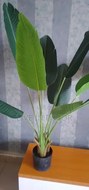 Artificial Plants (Only)
