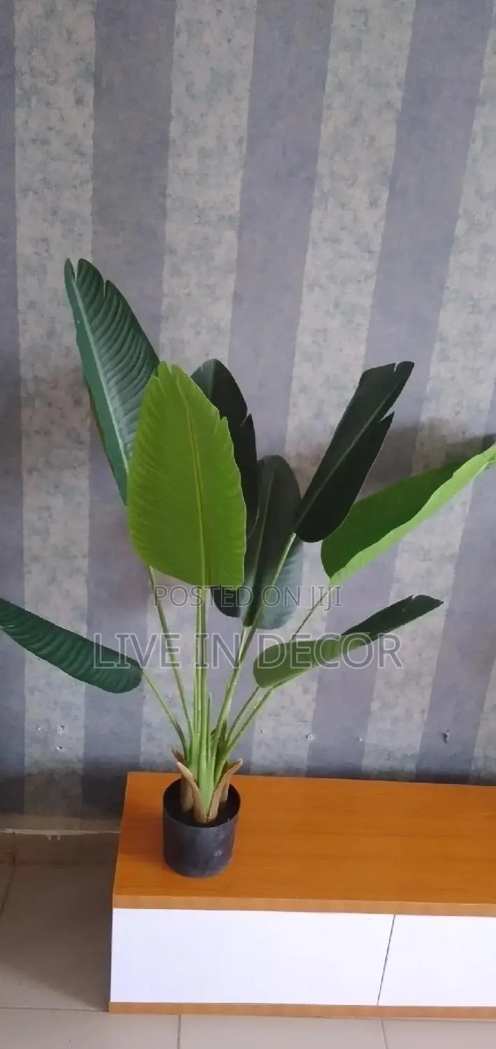 Artificial Plants (Only)