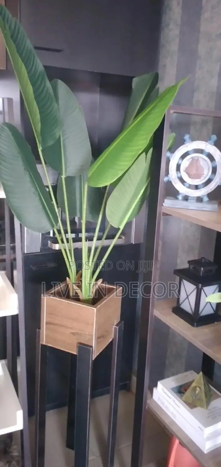 Artificial Plants (Only)