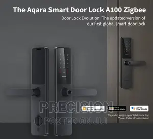 Smart Home Smart D00R Lock A100