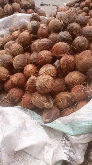 Ghana Coconut