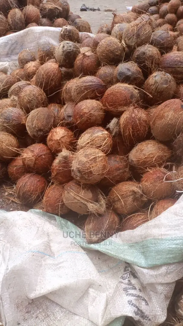 Ghana Coconut