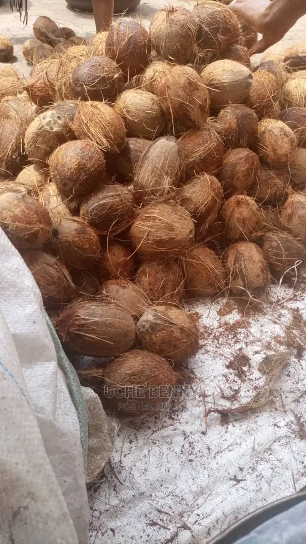 Ghana Coconut