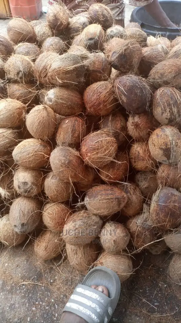 Ghana Coconut