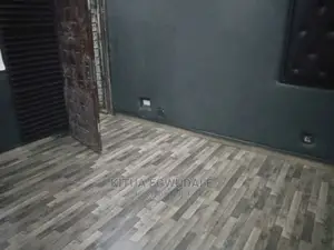 Exquisite Vinyl Flooring