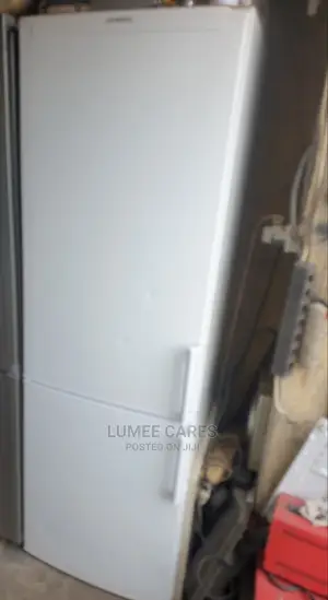Siemens Fridge and Freezer