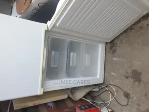 Double Door Fridge and Frezer