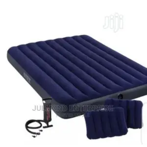 Intex Inflatable 2-3 Person Classic Downy Airbed