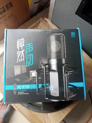 Taskar Studio Microphone.