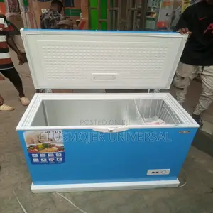 NEXUS Chest Freezer/Model:NX400C