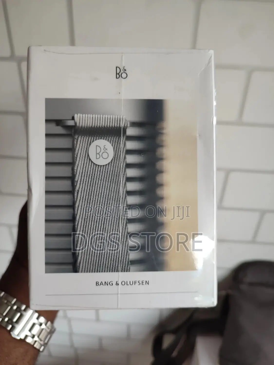 Bang Olufsen Explore Durable Portable Bluetooth Speaker