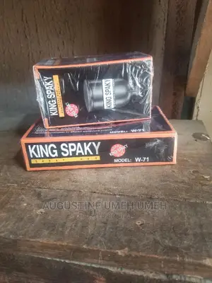 King Spaky Spray Gun