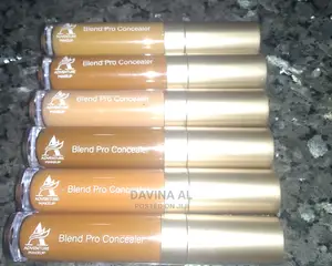 Photo - Adventure Blend Pro Concealer