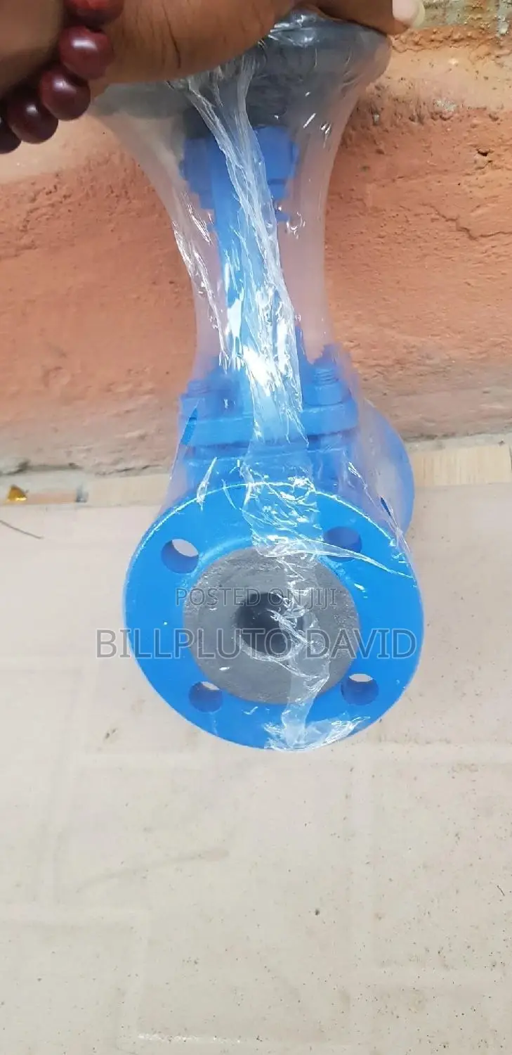 Globe Valves Flange