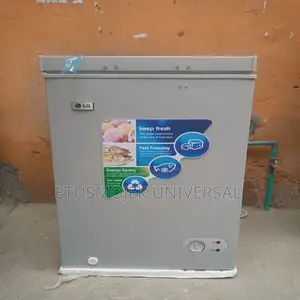 LG Mini Freezer/Model 200/Silver