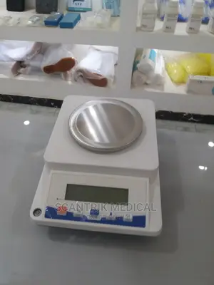 Portable High P Analytical Digital Weighing Balance, 0.01%,