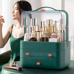 Jewelry/Cosmetic Organizer