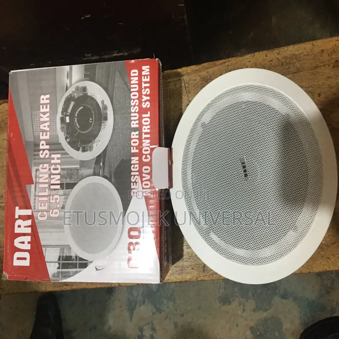 Quality 6.5inches Ceiling Speaker/30w