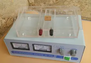 Scantrik Medical Supplies Electrophoresis Machine With Cell