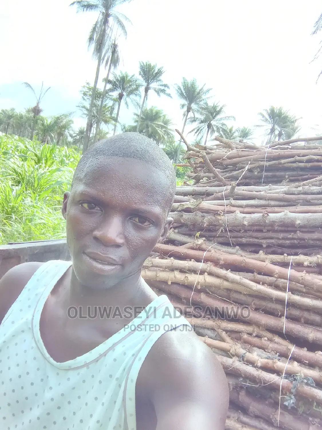 Farming Consultant