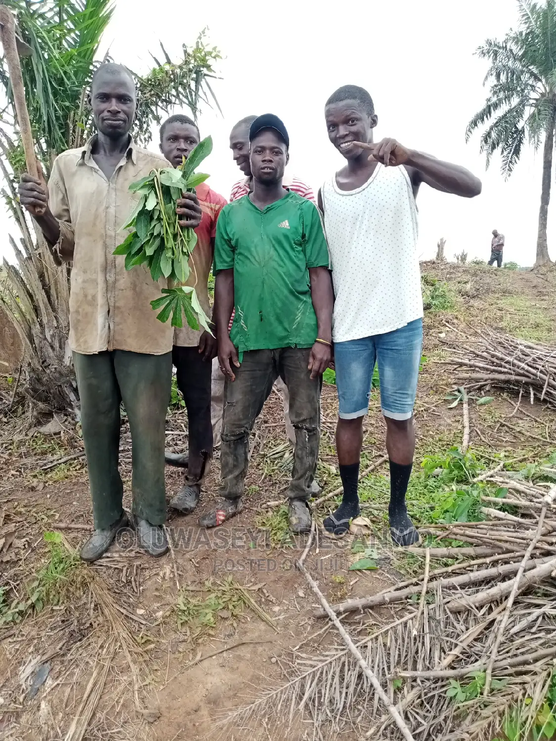 Farming Consultant