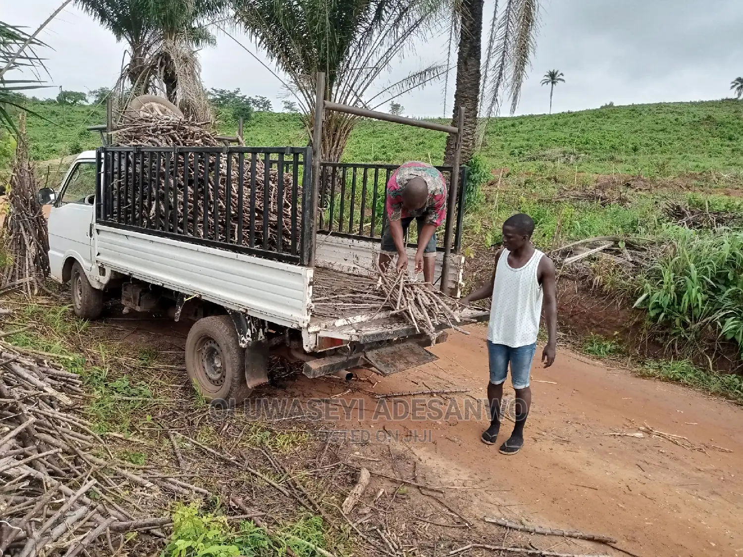 Farming Consultant