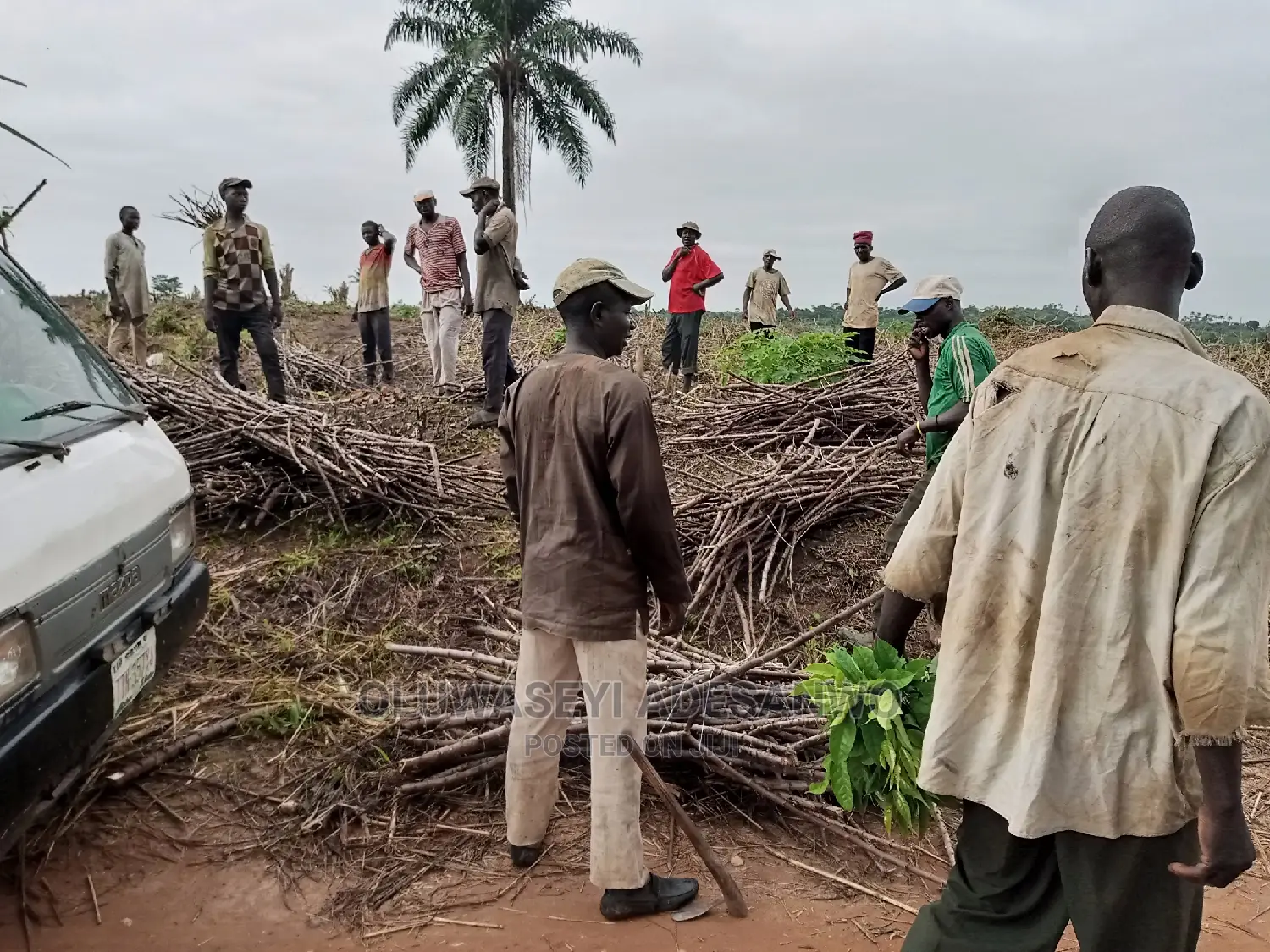 Farming Consultant