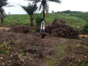 Farming Consultant