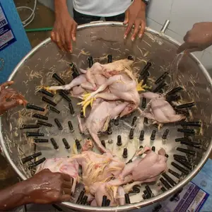 All Sizes of Industrial Chicken Defeather/Plucking Machine