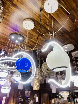 Magnificent Dropping Light With LED and Bulb