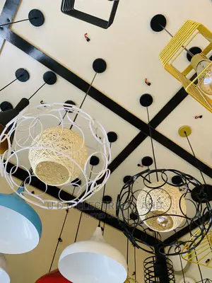 Magnificent Dropping Light With Bulb