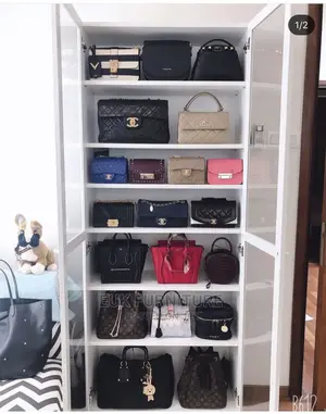 Unique Bag/Shoe Rack With Glass Door