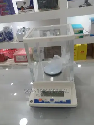 Automatic Digital Electronic Balance