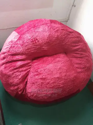 Exotic Bean Bag Chairs