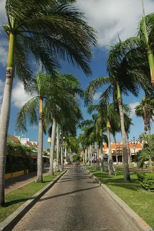 Landscaping Architecture Designer