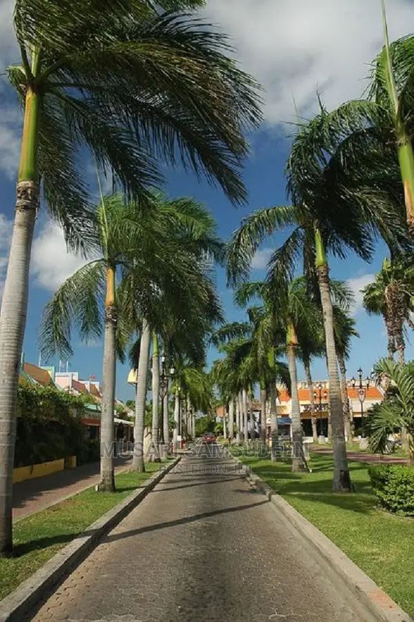 Landscaping Architecture Designer