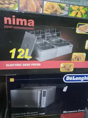Double Unit 12L Electric Deep Fryer for Commacial