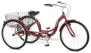 Photo - Schwinn Meridian Adult Tricycle, 26-Inch Wheels, Rear Storag