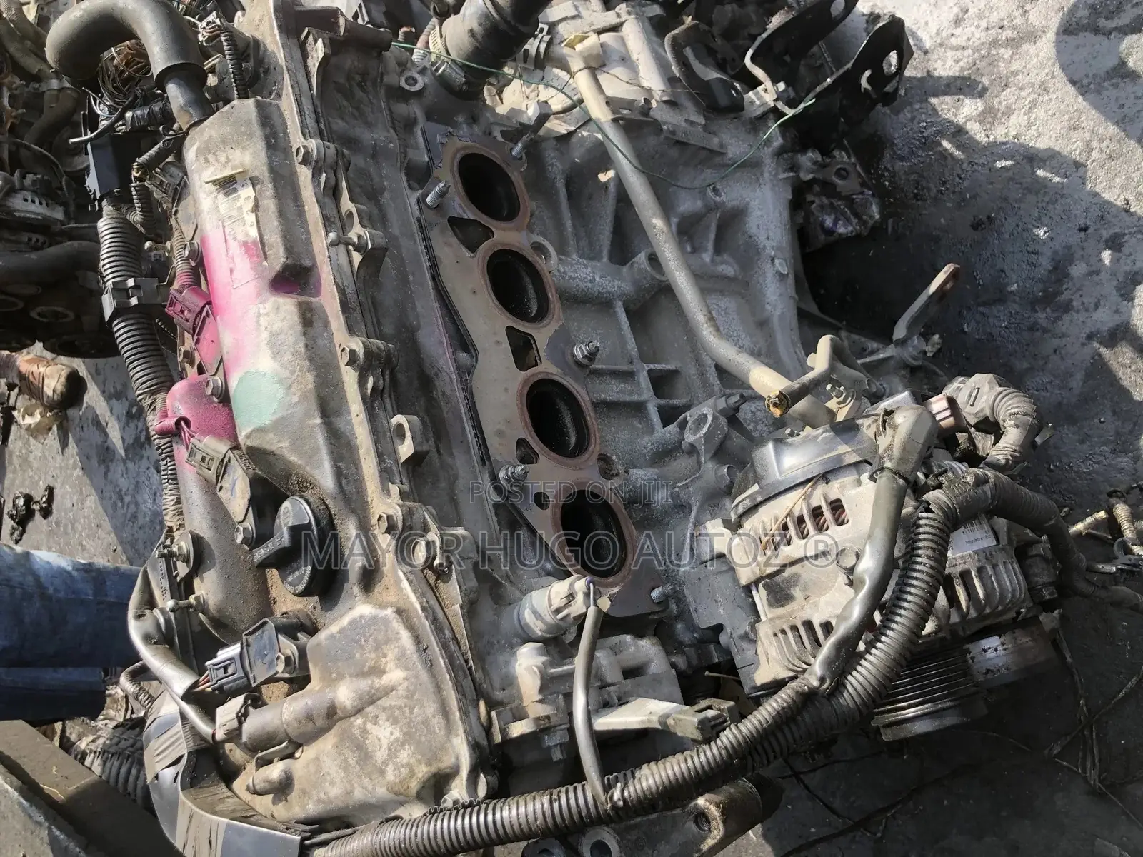 Venza 4 Plug Engine