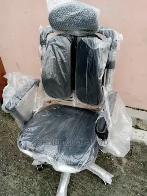 Office Chairs (Orthopedic)