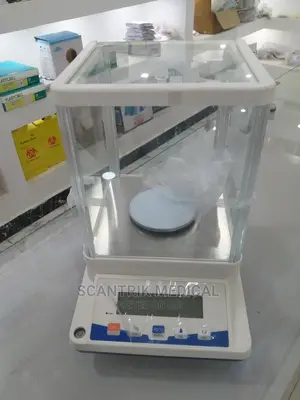 Portable 310g/0.001 Electronic Balance Analytical